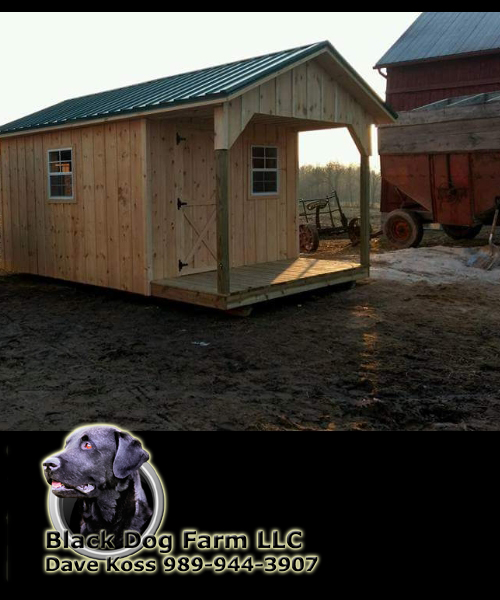 Amish Built Cabins