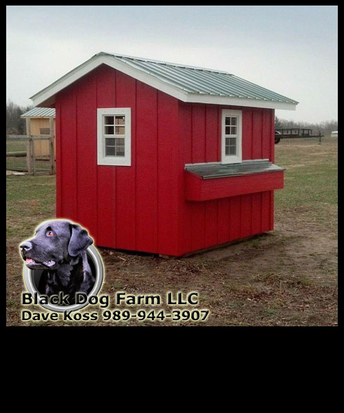Amish Built Chicken Coop