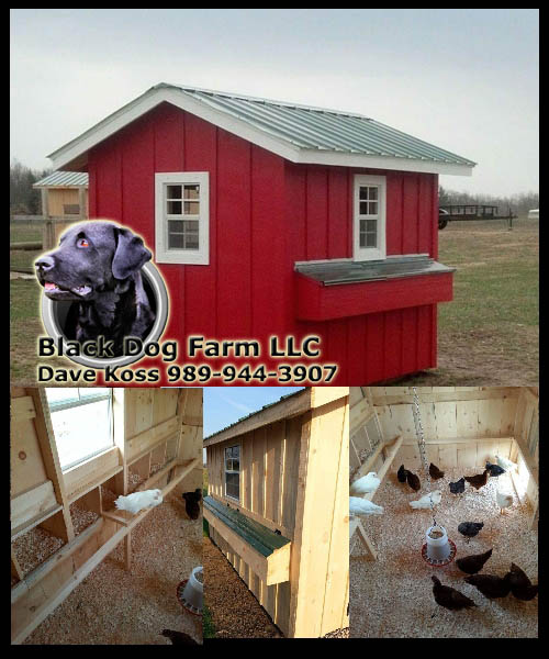 Amish Built Chicken Coops 