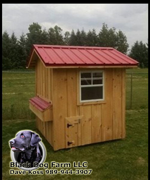 Amish Built Chicken Coop