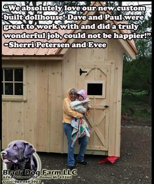 Amish Built dollhouse shed
