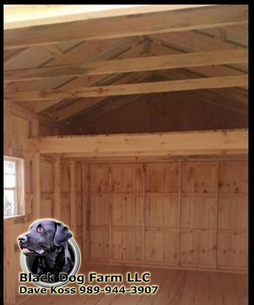 Amish Built shed Sheds